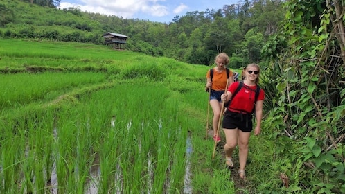 Authentic 2-Day Karen Hilltribe Village Experience