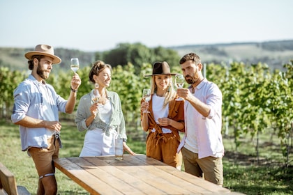 Die Kunst des italienischen Aperitivo mit einem Einheimischen in Siena