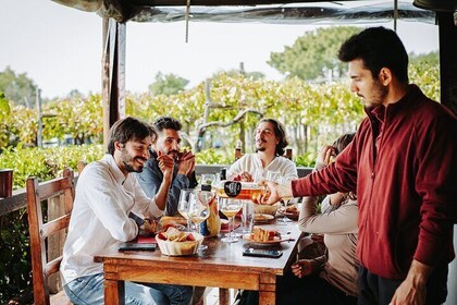 Guided Tour of Pompeii Ruins with Lunch and Wine